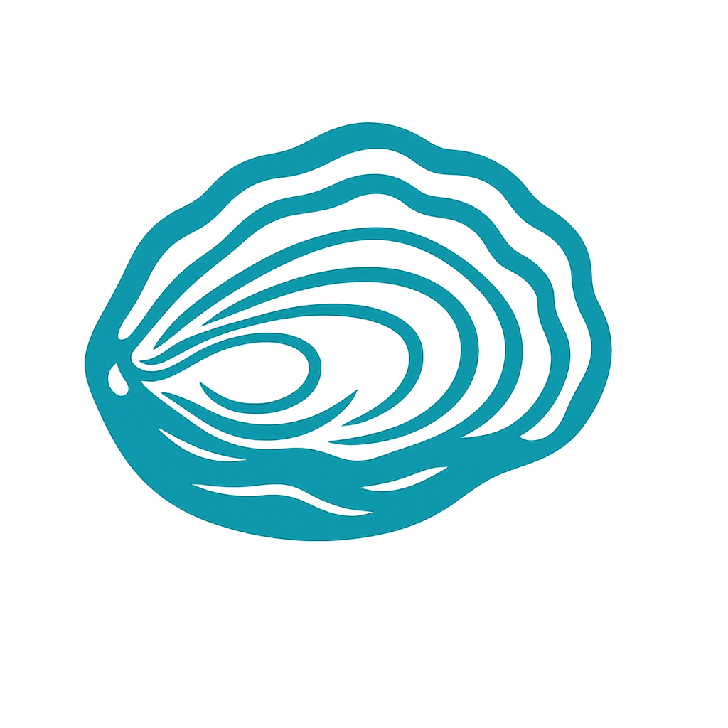 Coquillage Vacances Bord de Mer